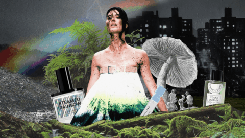 Petrichor Fragrances Were Made for the Dog Days of Summer