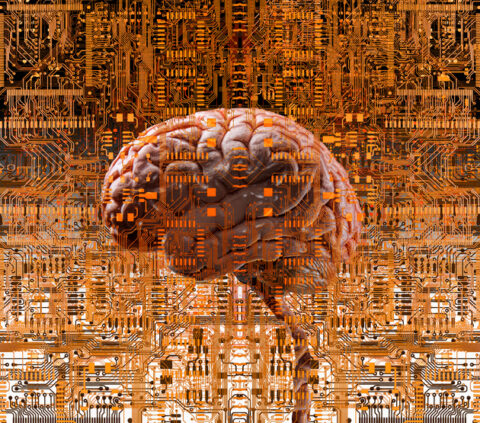 SK Bio Broadens U.S. Prospects, Licensing Late-Stage Epilepsy Drug From Biohaven